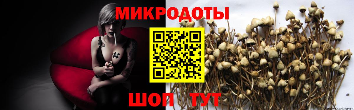 Галлюциногенные грибы GOLDEN TEACHER Юрга